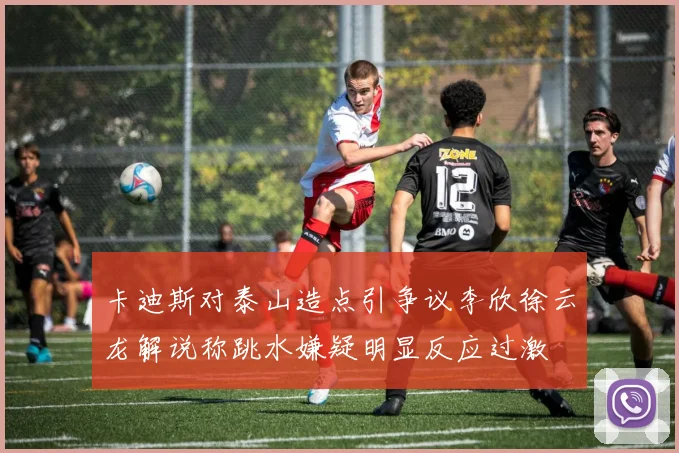 卡迪斯对泰山造点引争议李欣徐云龙解说称跳水嫌疑明显反应过激