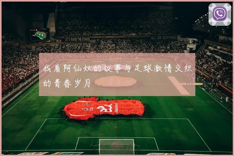 我看阿仙奴的故事与足球激情交织的青春岁月