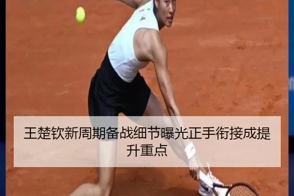 王楚钦新周期备战细节曝光正手衔接成提升重点（hth）